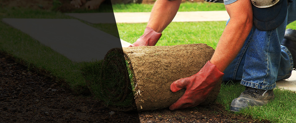 Fairhaven Landscapers